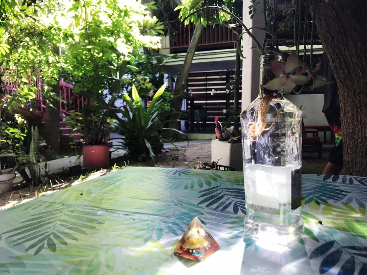 Hotel Posada Senor Manana San José del Cabo Buitenkant foto