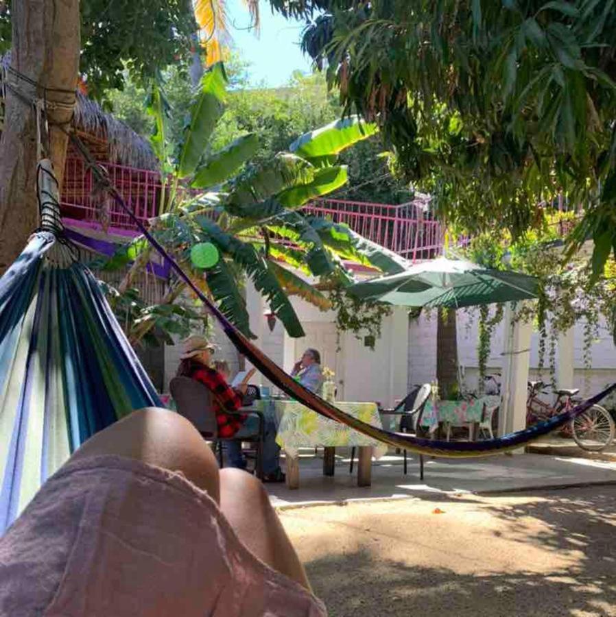 Hotel Posada Senor Manana San José del Cabo Buitenkant foto