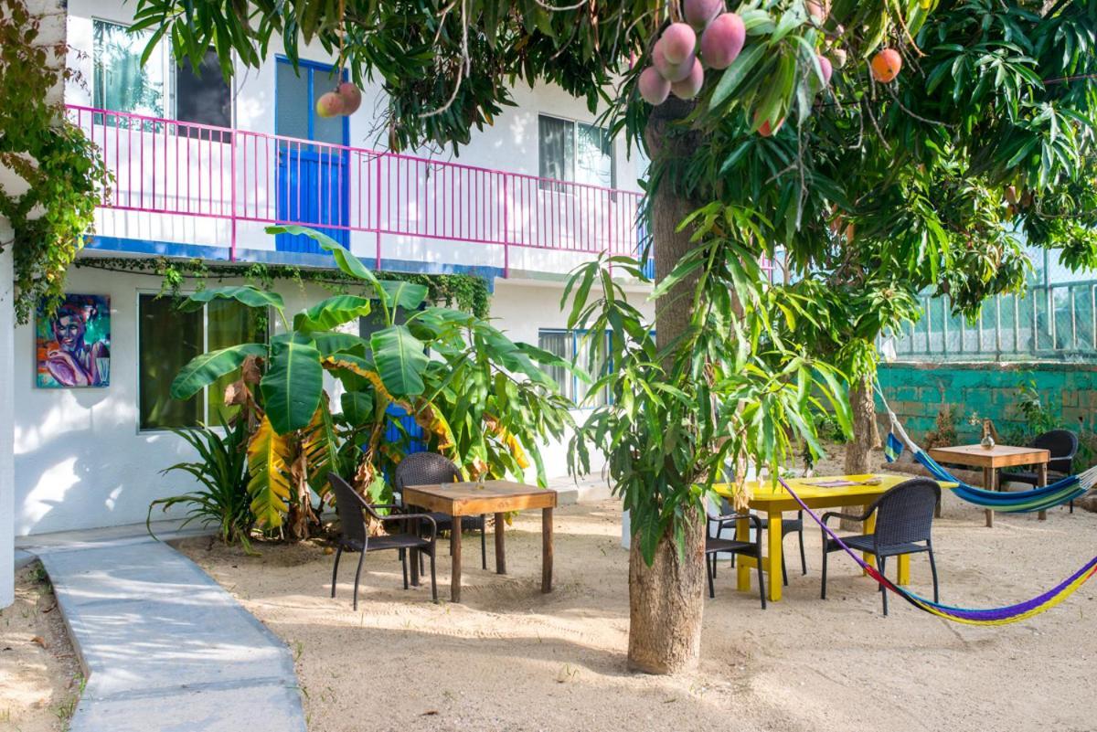 Hotel Posada Senor Manana San José del Cabo Buitenkant foto